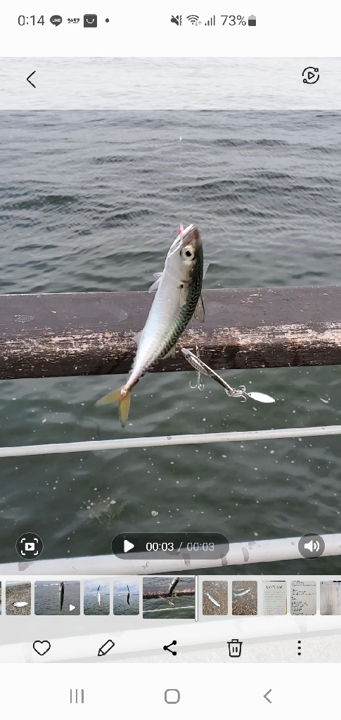 コスモでサバゲー