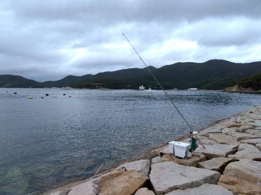 室津のキス釣り