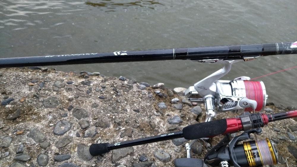 遠投デビュー〜チョイ投げとの使い分け〜