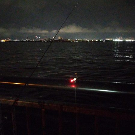 エビ撒き　アコウ不発、代わりにチヌ