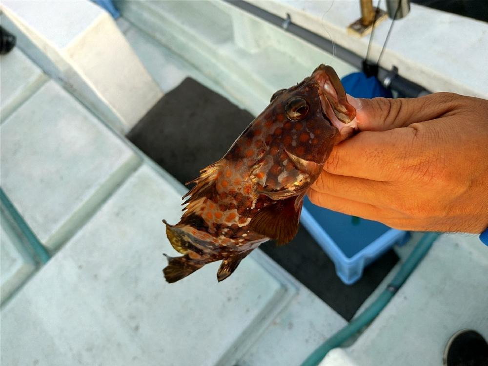 松村渡船さんでロックショート便