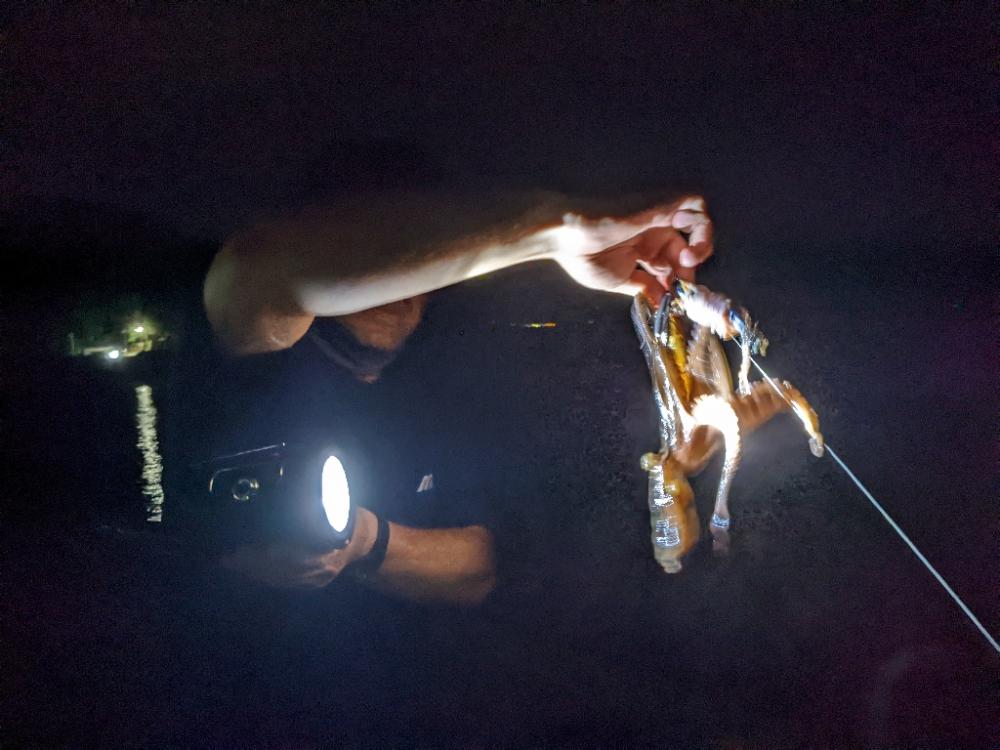 今季5、6杯目🐙🐙!!