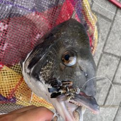 ヘチ釣り