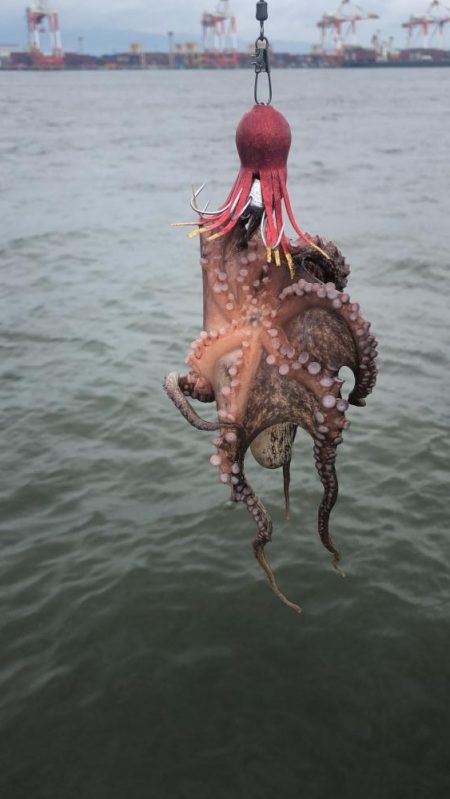 秋を感じるシーサイド