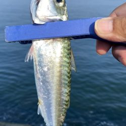 リベンジマッチがサバゲーに…