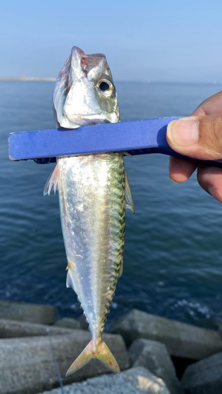 リベンジマッチがサバゲーに…