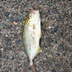 盆休み1日目の朝