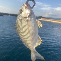 久しぶりのルアー