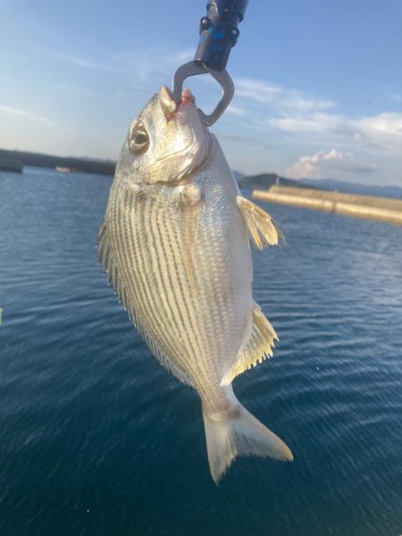 久しぶりのルアー