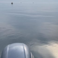 真鯛フカセ釣り