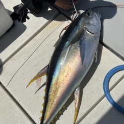 たかたかの釣り日記