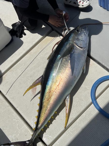 たかたかの釣り日記