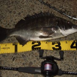 ベイトタックルでチニング