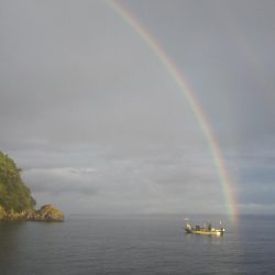 遠投マウスの実力
