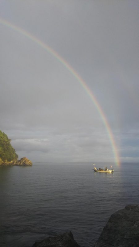 遠投マウスの実力