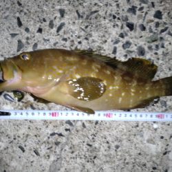 ビギナーズラック