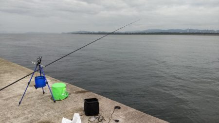 尺アジ、サバとおチヌ様