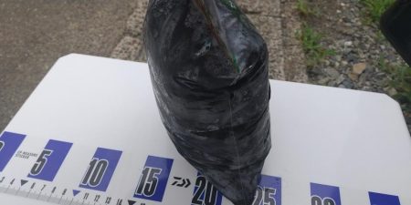 エギングシーズン開幕