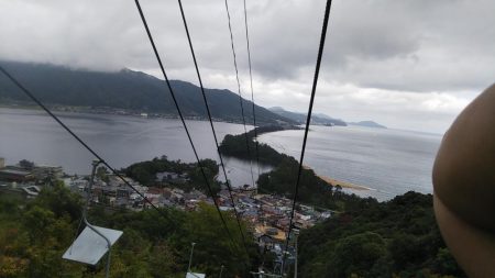 新子アオリイカ