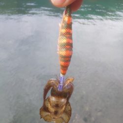 大剣先とミニシオ