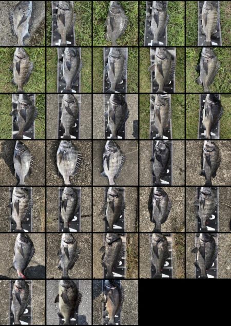 イチノ兄弟、釣果！