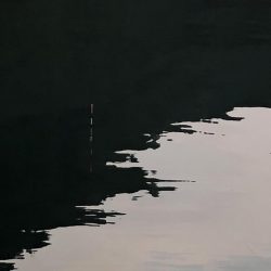 キジハタ・オオモンハタ・アジ