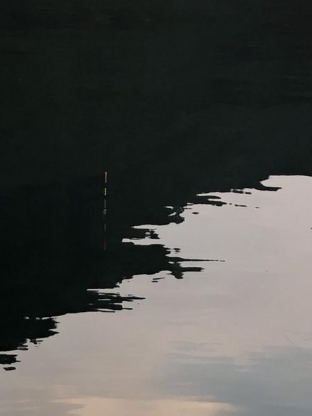 キジハタ・オオモンハタ・アジ