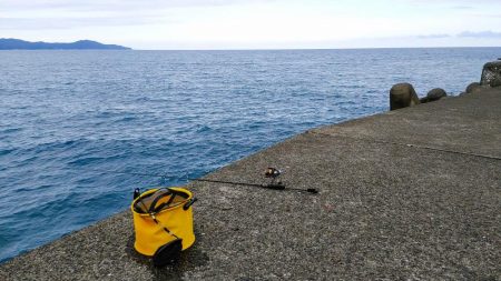 アジング、ギンガメアジと太刀魚