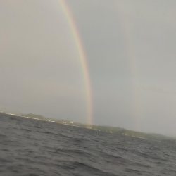 雷ゴロゴロ　イカぼちぼち