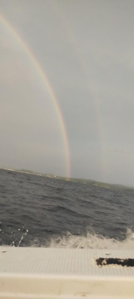 雷ゴロゴロ　イカぼちぼち
