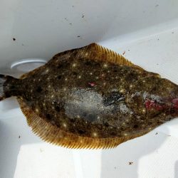 ジギング&キャスティング