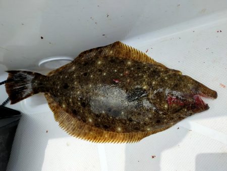 ジギング&キャスティング