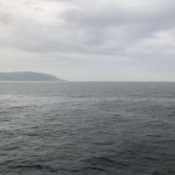 小チヌの数釣り