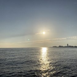 良型チヌにコッパの数釣り