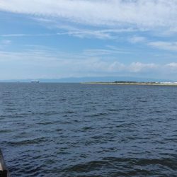 タコを求めて20時間