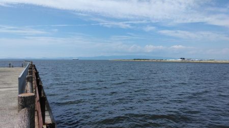 タコを求めて20時間