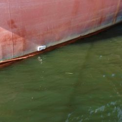 ぶらデイシーバス調査!!