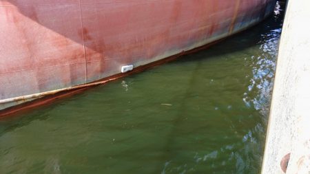 ぶらデイシーバス調査!!