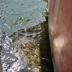 ぶら船下調査！！