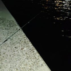 ぶら河川調査！