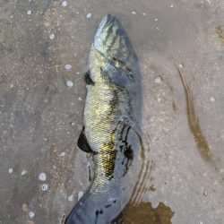 朝イチ トップ勝負