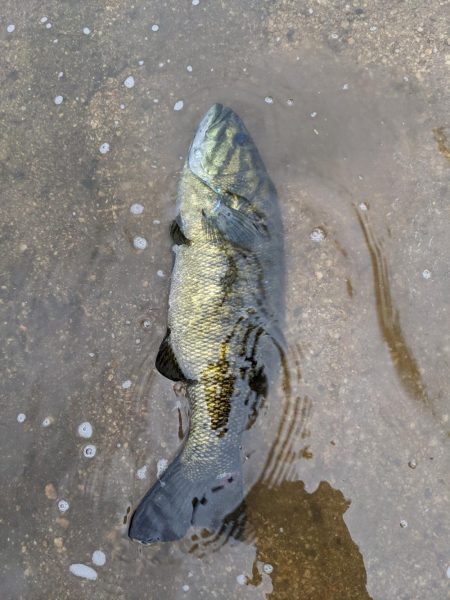 朝イチ トップ勝負