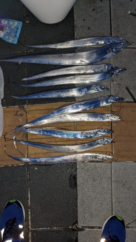 タチウオ後ショアジギ