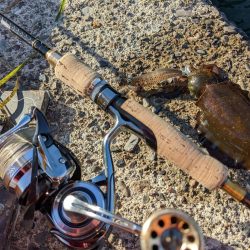 newロッド墨付け！