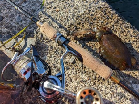 newロッド墨付け！