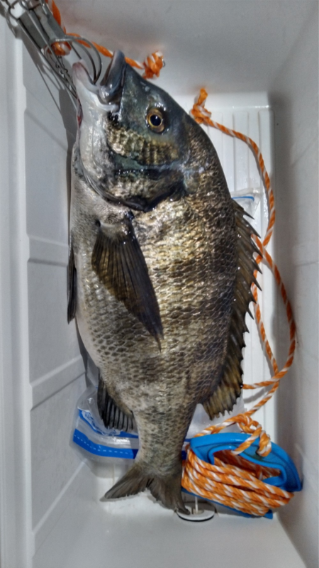 低酸素の中の年無しゲット