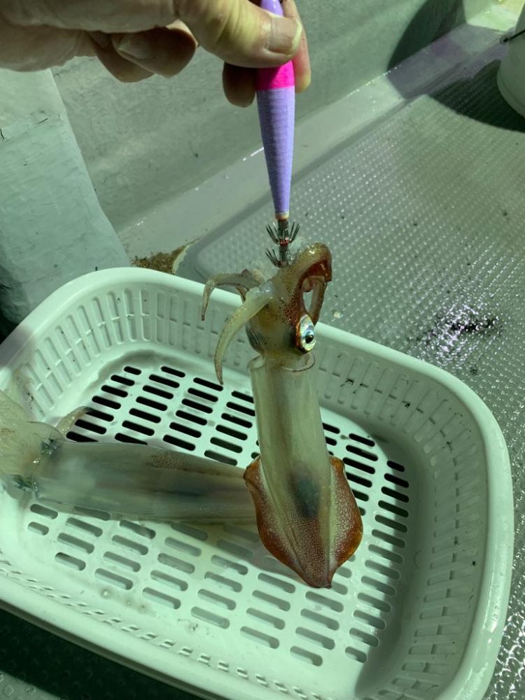 潮かなり速く…