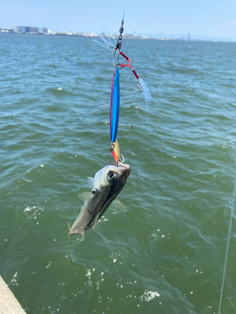 西宮ケーソンでジギング