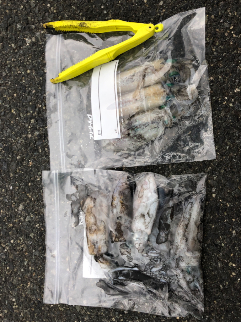 【新子調査】伊根〜京丹後巡り②