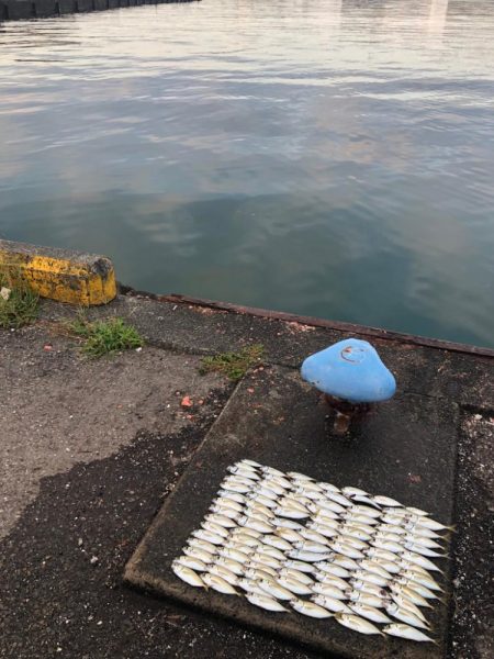 少しサイズアップ